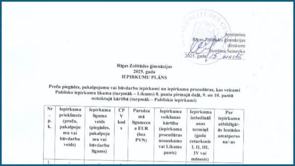 2025. gada iepirkumu plāns 24 2025. gada iepirkumu plāns