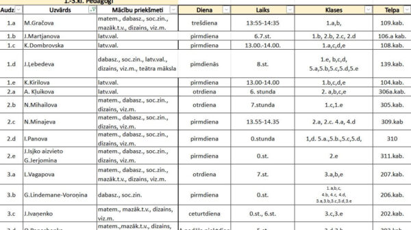 Konsultāciju laiki 2024./2025.